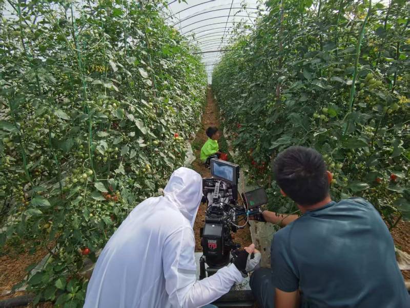 固阳县产品宣传视频拍摄公司进阶指南，助力品牌抢占传播高地